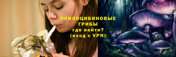 шишки Лиски
