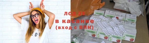 крисы Лабытнанги