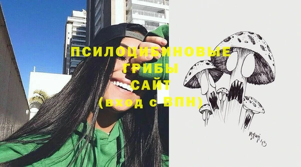 дурь Великий Новгород