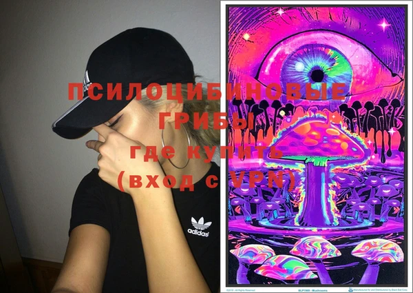 шишки Лихославль
