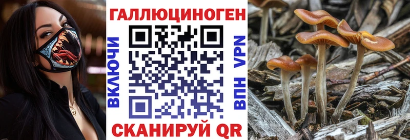 Псилоцибиновые грибы ЛСД  Кочубеевское 